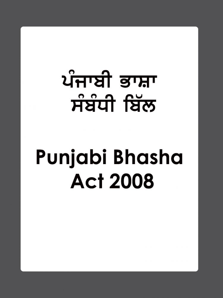 just an act meaning in punjabi